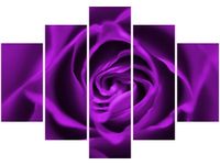 product-compare-58695356