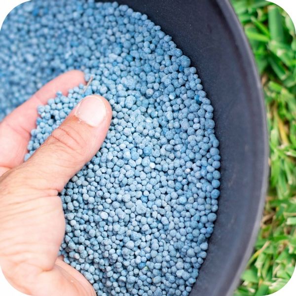 NAWÓZ DO TRAWY COMPLEX 25KG TRAWNIKA TRAWNIKÓW ROSAFERT NPK 12-12-17 zdjęcie 11