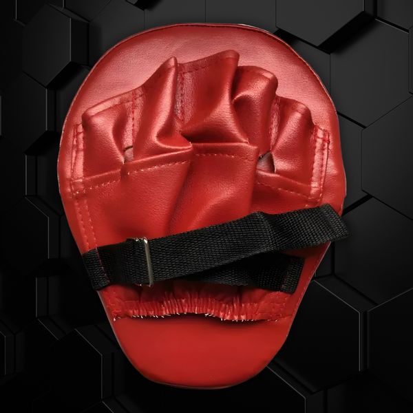 Tarcza bokserska zdjęcie 4