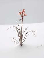 product-compare-59356741