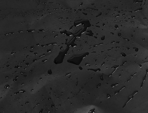 Pokrowiec na kosz ogrodowy podwójny na Arena.pl