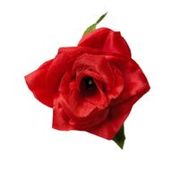 Różyczka wyr. mini red 24 szt