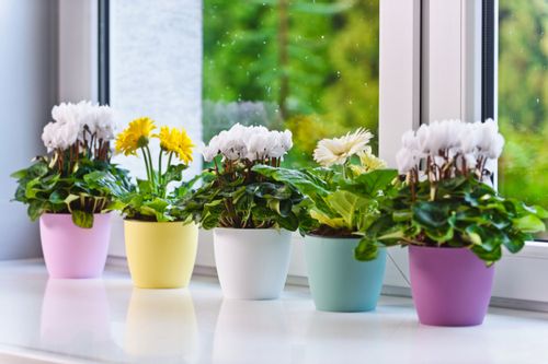 DONICZKA OSŁONKA Z PODSTAWKĄ DONICA KOLORY 18cm na Arena.pl