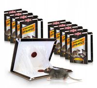 10 X LEP NA MYSZY STRONG ZESTAW SKŁADANYCH PUŁAPEK LEPOWYCH SILNIE WABIĄCE