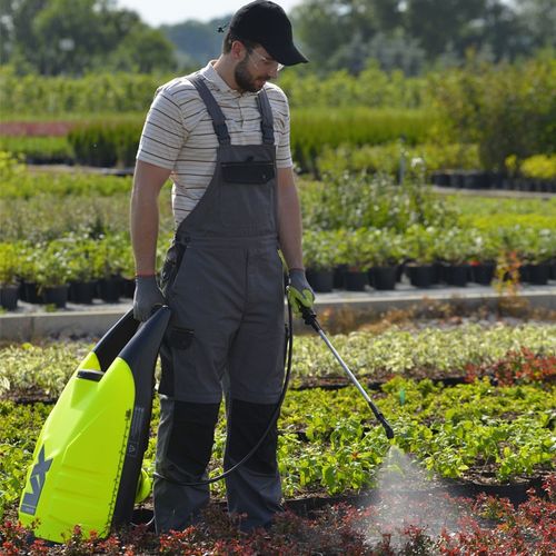 Marolex VX na Arena.pl