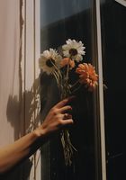 product-compare-59366804