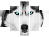 70 100CM OBRAZ 5 ELEM GŁĘBOKIE SPOJRZENIE DRUK PŁÓTNO