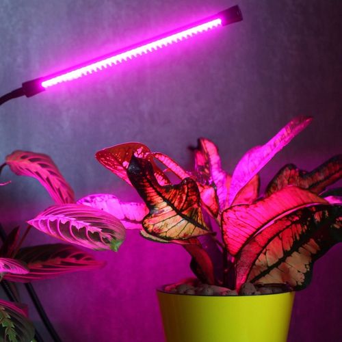 LAMPA DO WZROSTU UPRAWY ROŚLIN LED GROW LIGHT TIMER 9 POZIOMÓW ŚWIECENIA na Arena.pl