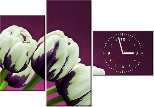 100CM 70CM ZEGAR 3 ELEM FIOLETOWE TULIPANY ŚCIENNY OBRAZ na Arena.pl