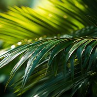 Plakat 30x30cm Zielona Kondensacja