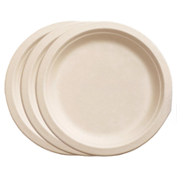 Talerze Jednorazowe Papierowe Tacka do Grilla Ciasta EKO 25 cm 50 szt