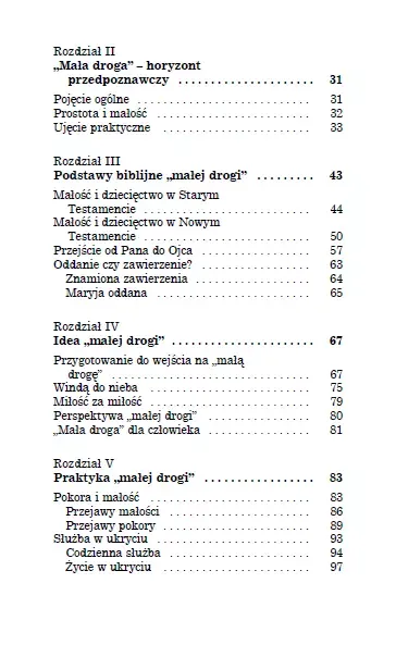 Mała droga wielkiej świętej zdjęcie 8