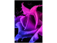 40X60CM RÓŻA FARB JAKUB BANAŚ OBRAZ