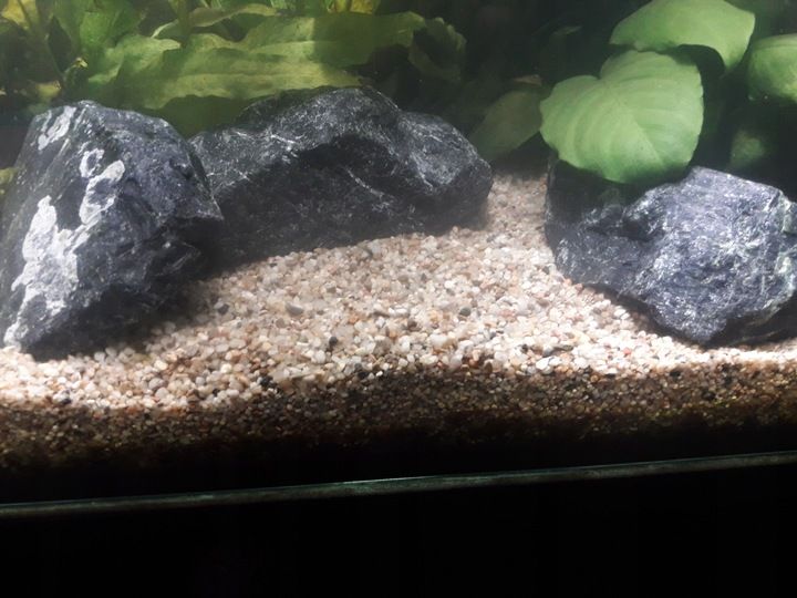 NATURALNY ŻWIREK 1-4 mm 25 kg AKWARIUM zdjęcie 11