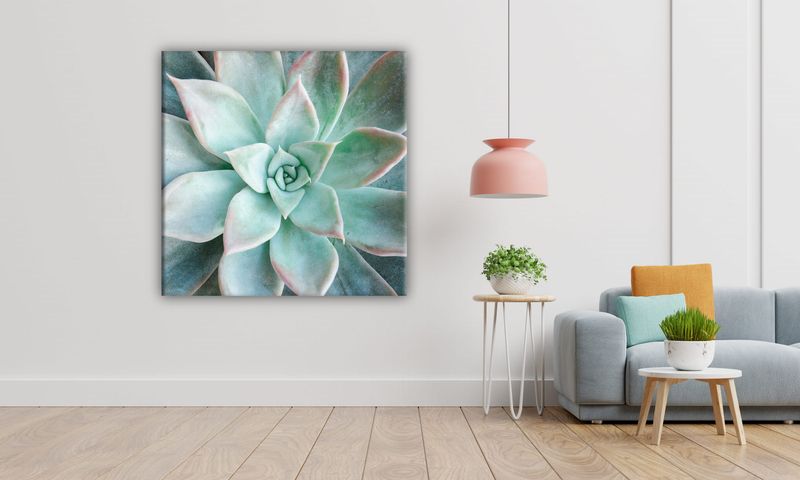 OBRAZ NA PŁÓTNIE 098 Sukulent 50x50cm zdjęcie 5