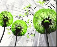 60CM 50CM OBRAZ ŚCIENNY DMUCHAWCE KOLORZE LIMONKI DRUK PŁÓTNO