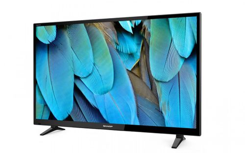 Sharp Telewizor LED 48 LC48CFE4042 na Arena.pl