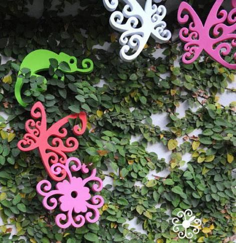 Małpka biała Polpo kompozycja na Arena.pl