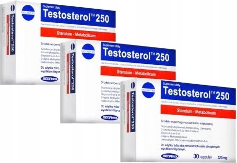 3x Megabol Testosterol 250 30 kapsułek zdjęcie 1