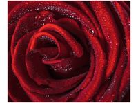 60X50CM BORDOWA RÓŻA OBRAZ ŚCIAN DREWNIANE