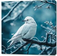 Obraz 100x100cm Perłowy Ptak