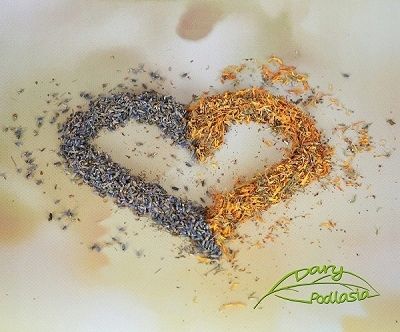 Matcha zielona herbata proszek -200g-Dary Podlasia zdjęcie 3