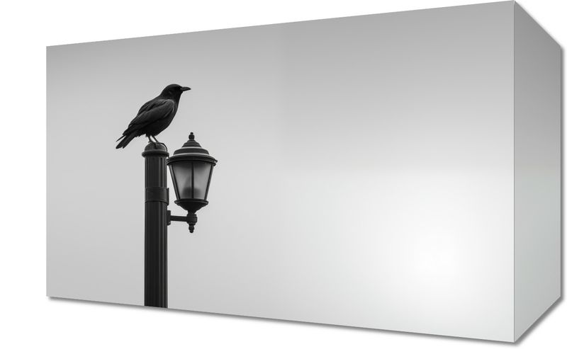 Obraz 30x20cm Samotny Postój Kruka zdjęcie 1