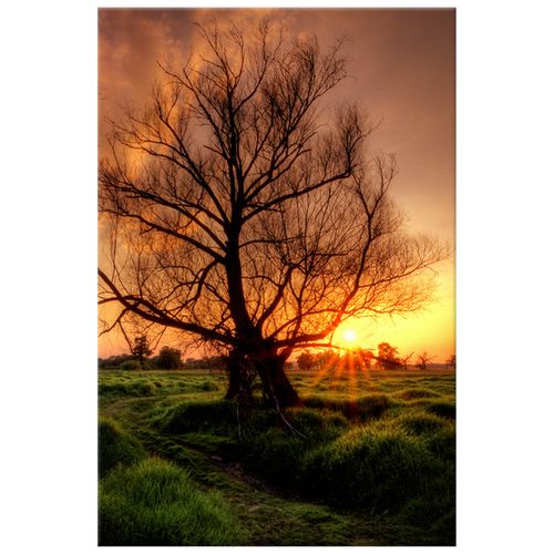 80X120 Obraz Na Prawdziwym Płótnie na Arena.pl