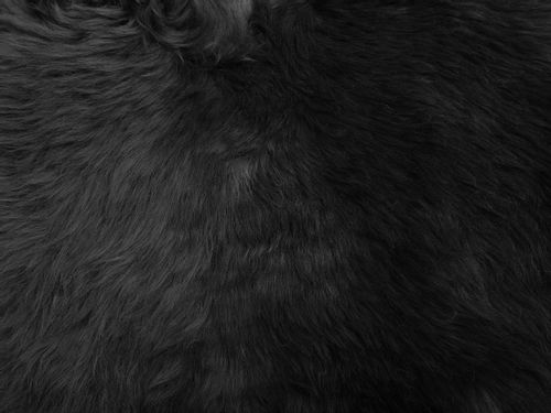 Skóra owcza czarna ULURU na Arena.pl