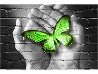 OBRAZ GREEN BUTTERFLY MOTYL DŁOŃ CEGŁA
