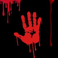 Smiffy's farbka FAKE BLOOD