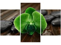 90X60CM OBRAZ LIMONKOWY STORCZYK