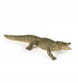 ALIGATOR - Alligator - PAPO - 50254