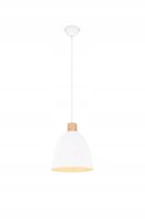 LAMPA WISZĄCA TRIO RL JAGGER R30681031 BIAŁY