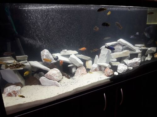 ŻWIREK CZARNY 1-3 mm PODŁOŻE DO AKWARIUM 25kg na Arena.pl