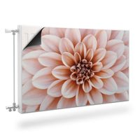 Osłona MAGNETYCZNA Kaloryfera Kwiat Dalii Rośliny Natura 120cm x 60cm