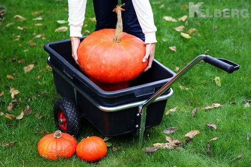 Wózek OGRODOWY transportowy dwukołowy Taczka 135L na Arena.pl