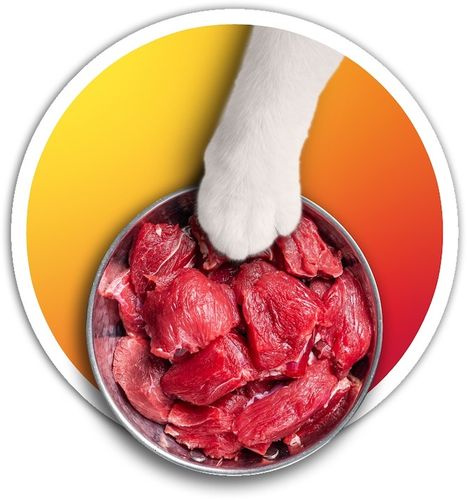 Petstory karma mokra dla kotów mix smaków 70% MIĘSA zestaw 40x100g na Arena.pl