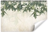 Fototapeta LIŚCIE Bananowe Beton Mural Abstrakcja 3D 270cm x 180cm