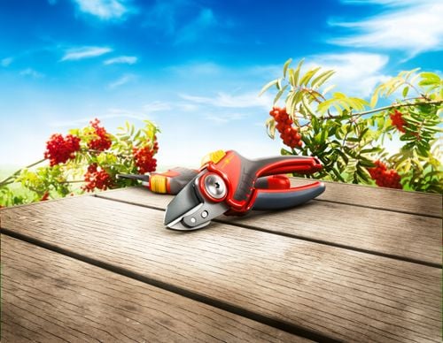 WOLF GARTEN SEKATOR KOWADEŁKOWY RS 2500 na Arena.pl