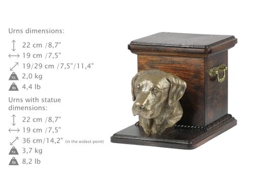 Labrador Retriever - urna - 4147 na Arena.pl