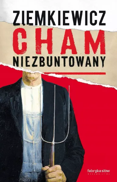 Cham niezbuntowany zdjęcie 1