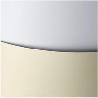 ND39_375150 KARTON OZD A4 BIA 200G GAL PAP GLAD F