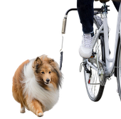 TRIXIE Smycz rowerowa do roweru dla średniego i małego psa z amortyzatorem