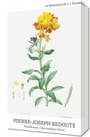 Obraz 30x50cm Design Chearinthus Cheiri, Redoute Vintage do Salonu