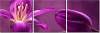 90 80CM OBRAZ T3 ELEM FIOLETOWE TULIPANY DRUK ŚCIENNY