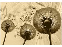 product-compare-58712022