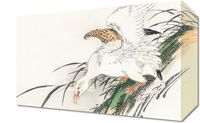 Obraz 30x20cm Albatross, Kashu Japoński Vintage do Salonu