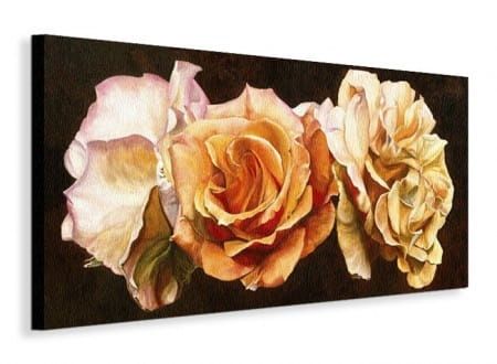 Rose Trio Róża - Obraz na płótnie 100x50 cm na Arena.pl