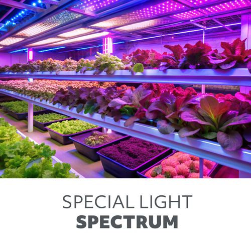 żarówka do roślin led planty 24w e27 1200k kobi na Arena.pl
